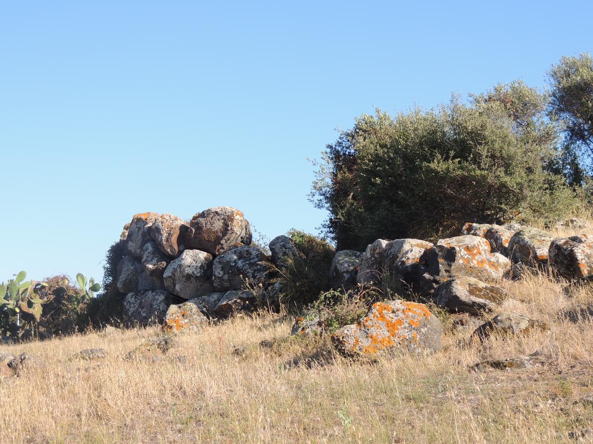 לינה וארוחת בוקר Uras Il Nuraghe מראה חיצוני תמונה